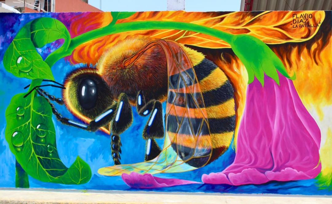 Con murales crean conciencia sobre las abejas y el uso del agua, en Putla, Oaxaca