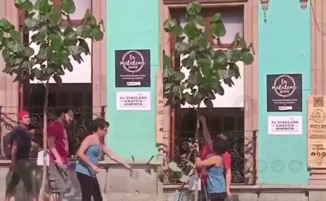 VIDEO. Investigan en Oaxaca a pareja extranjera que podó árbol para que no tapara letrero de pizzería