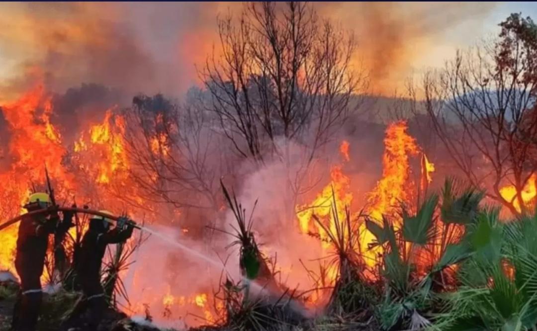 Registra Tuxtepec, Oaxaca 40 incendios de pastizales en los últimos 4 meses