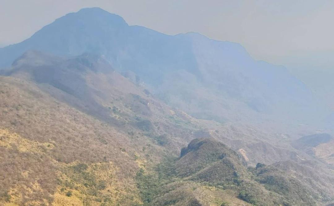 Daños de incendios en selva de Los Chimalapas tardarán décadas en restaurarse; piden estudio al gobierno de Oaxaca