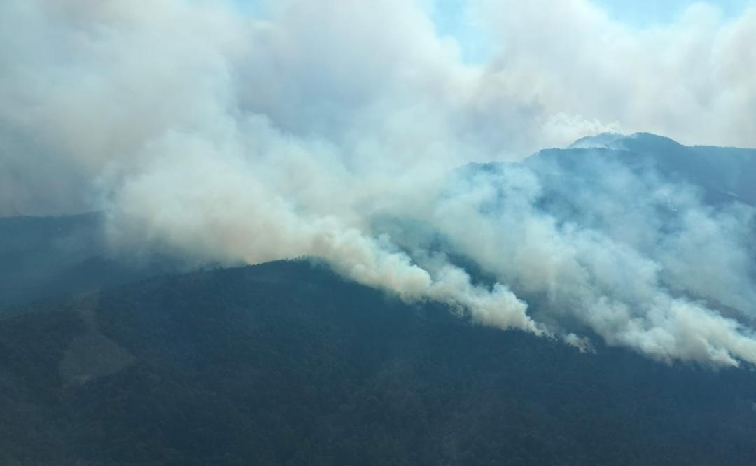 Arde Oaxaca: Piden declarar emergencia por incendio en Mitla; combatientes comunitarios luchan contra el fuego