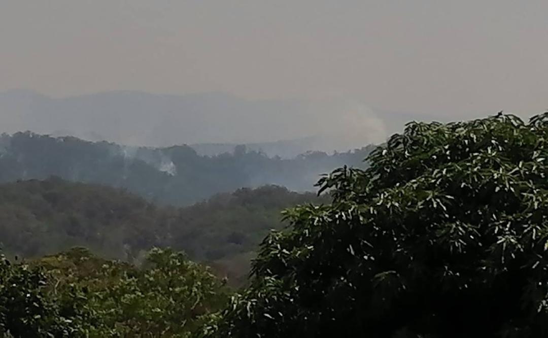Reportan cinco incendios activos en la selva de Santa María Chimalapas, Oaxaca