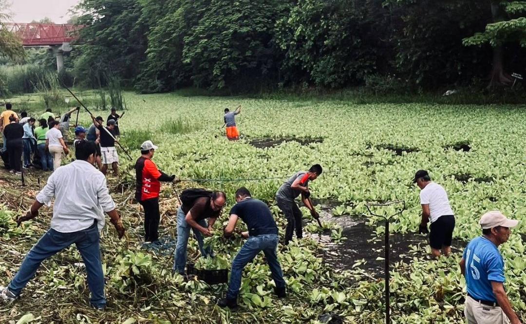Familias de Juchitán se reúnen para limpiar una parte del río Las Nutrias