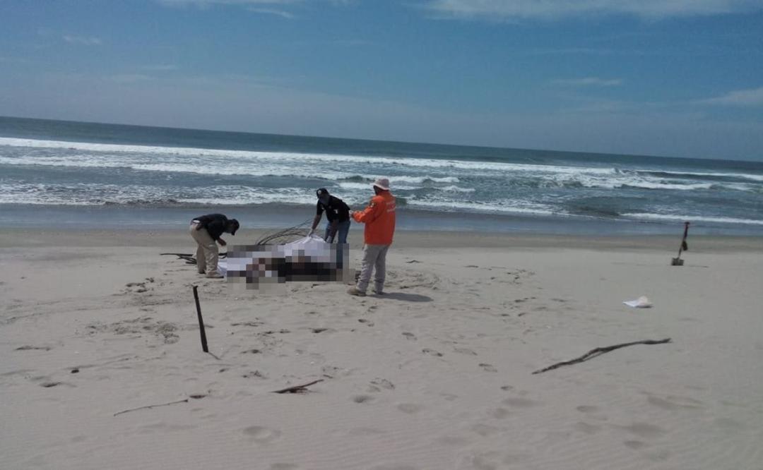 Aparecen 3 cuerpos en playas de Santa María del Mar; suman 5 naufragios de migrantes en Oaxaca