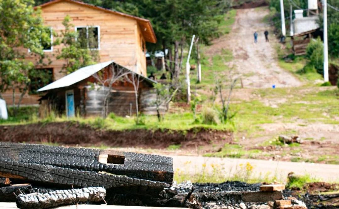 Ante tala clandestina y violencia, gobierno de Oaxaca anuncia instalación de cámaras en San Miguel El Grande