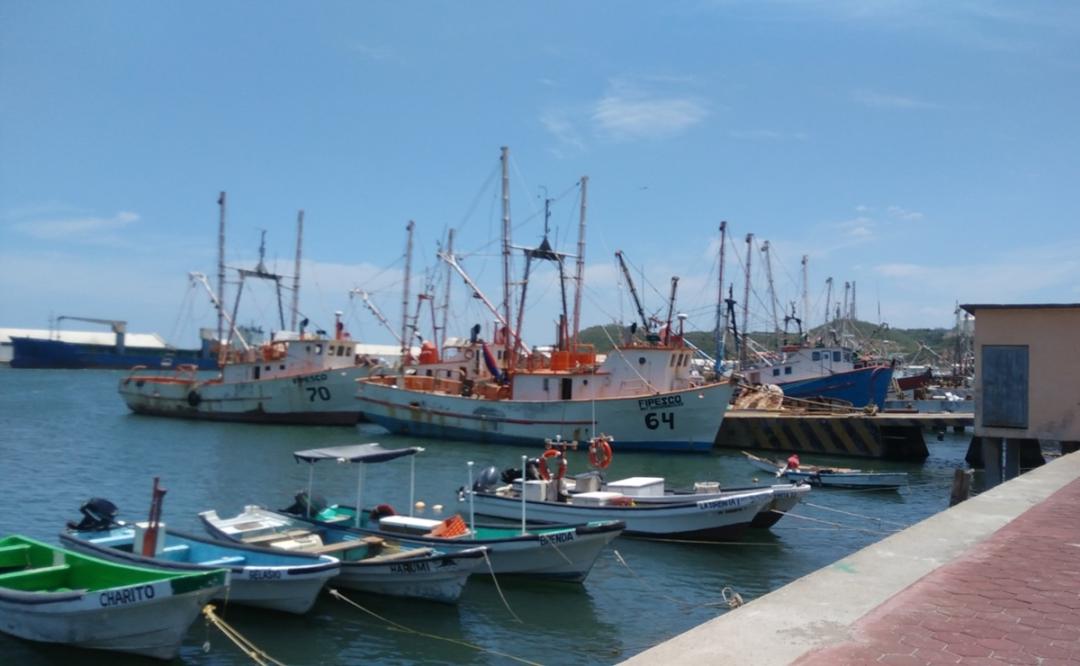 Pesca furtiva en alta mar y aumento del costo del combustible amenazan a camaroneros de Oaxaca