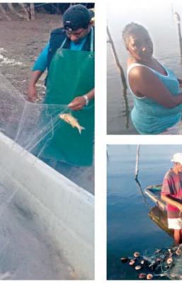 M&aacute;s de 5 mil pescadores del Istmo de Oaxaca enfrentan la desaparici&oacute;n de lisas, curvinas y r&oacute;balos