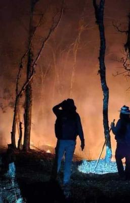 Con cierres carreteros, exigen en Oaxaca ayuda a&eacute;rea urgente para sofocar incendio forestal