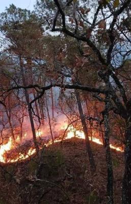 Alertan avance de incendio hacia viviendas de Asunci&oacute;n Mixtepec, en la Sierra Sur de Oaxaca