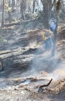 Controlado al 75% incendio forestal de San Andr&eacute;s Huay&aacute;pam, Oaxaca 
