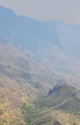 Da&ntilde;os de incendios en selva de Los Chimalapas tardar&aacute;n d&eacute;cadas en restaurarse; piden estudio al gobierno de Oaxaca