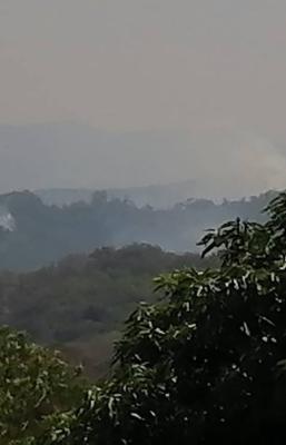 Reportan cinco incendios activos en la selva de Santa Mar&iacute;a Chimalapas, Oaxaca