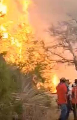 Piden ayuda ante fuerte incendio forestal en Capul&aacute;lpam; 16 siniestros consumen bosques de Oaxaca