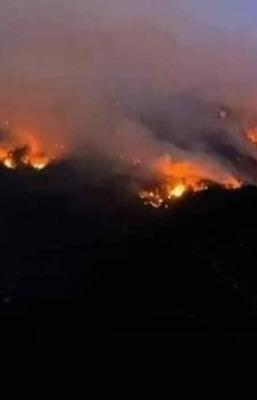 &ldquo;Llevamos 10 d&iacute;as respirando humo&rdquo;, claman comunidades mazatecas de Oaxaca ante incendio forestal.