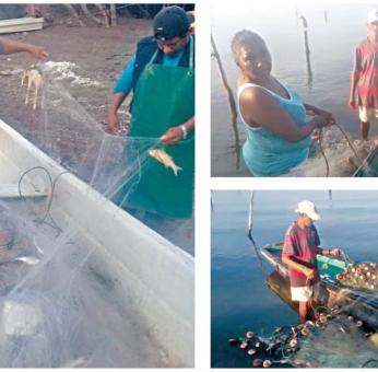 M&aacute;s de 5 mil pescadores del Istmo de Oaxaca enfrentan la desaparici&oacute;n de lisas, curvinas y r&oacute;balos