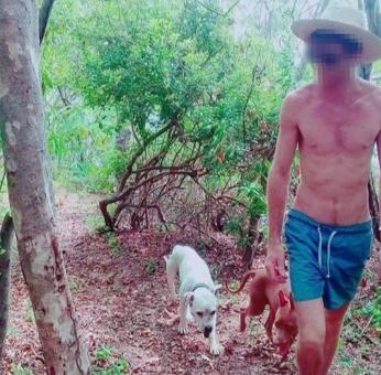 Tres perros propiedad de un extranjero atacan a ni&ntilde;o de 9 a&ntilde;os en la Costa de Oaxaca; fueron sacrificados