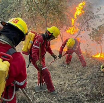 Tres incendios consumen bosques de la Triqui Alta de Oaxaca; hay al menos 15 activos 