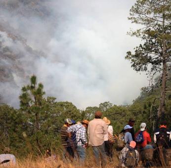 Padecen bosques de Oaxaca por incendios en zonas de conflicto y fuego provocado
