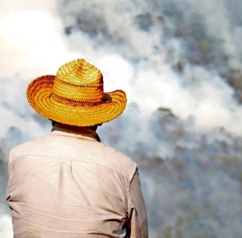 Recortes millonarios a Conafor por austeridad detonaron infierno en incendios forestales en Oaxaca