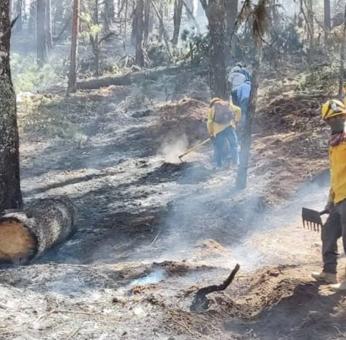 Controlado al 75% incendio forestal de San Andr&eacute;s Huay&aacute;pam, Oaxaca 