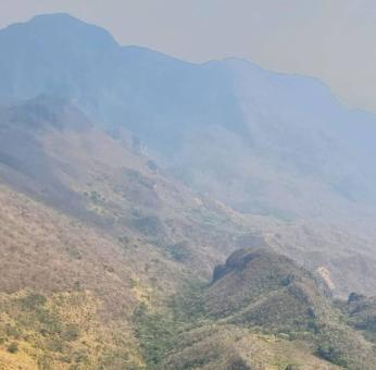 Da&ntilde;os de incendios en selva de Los Chimalapas tardar&aacute;n d&eacute;cadas en restaurarse; piden estudio al gobierno de Oaxaca