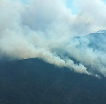 Arde Oaxaca: Piden declarar emergencia por incendio en Mitla; combatientes comunitarios luchan contra el fuego 