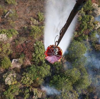 Reportan como controlado al 100% el incendio forestal entre Mitla y Villa D&iacute;az Ordaz, Oaxaca 