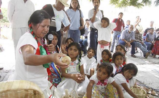Autores Indigenas Defienden El Zapoteco En Estados Unidos Oaxaca