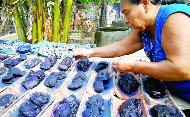 Los últimos guardianes que conservan el azul añil en Niltepec, Oaxaca |  Oaxaca