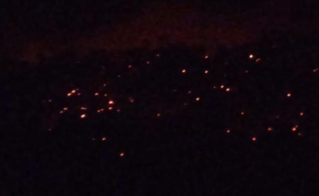 Forest Fire Consuming Hundreds of Trees in Sowing Life Program in San Antonio, Juchitan, Oaxaca