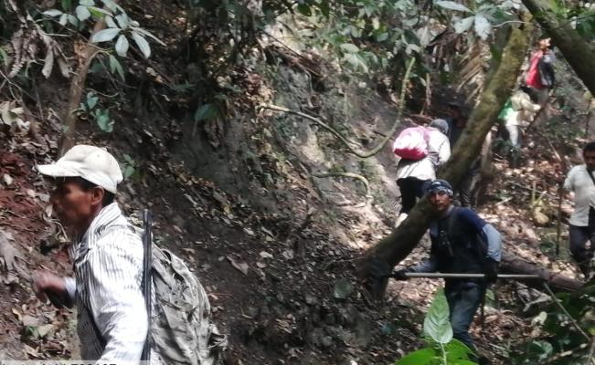 Suspenden apertura de brecha para combatir incendio forestal en Los Chimalapas, Oaxaca; luchan por tierra 