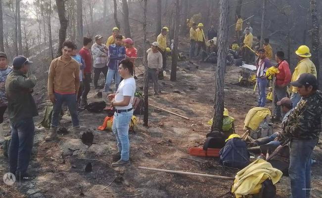 Incendios han arrasado 30 mil ha de selva de Los Chimalapas en Oaxaca; podr&iacute;an ser el doble, alertan