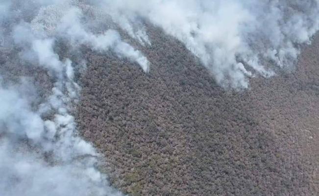 Incendio sin control en Tepelmeme alcanza a la Reserva de Biosfera Tehuac&aacute;n-Cuicatl&aacute;n: piden ayuda en Oaxaca 
