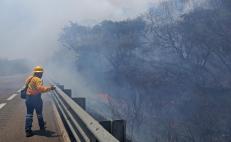 El fuego ha devastado miles de hectáreas de bosque. 