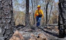 Los incendios fueron sofocados.