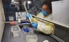 Laboratorio estatal en Oaxaca puede procesar hasta 40 muestras de Covid-19 en 5 horas