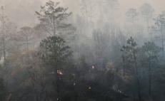Acusan “grupos de choque” de Villa Sola de Vega de provocar incendios forestales 