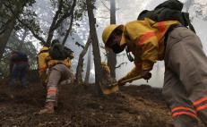 Federación declara en emergencia a 5 municipios de Oaxaca por incendios forestales 