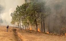 En plena pandemia, incendio forestal dejó sin agua a pobladores de Tepejillo