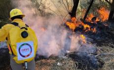 Por tercera ocasión arde Ayutla Mixe en esta temporada de incendios forestales, van 155 en el año
