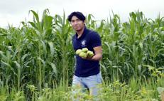 Universitarios experimentan con cultivos para apoyar a campesinos de Papalutla a paliar la crisis