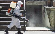 Pandemia de Covid-19 está activa en estos 81 municipios de Oaxaca