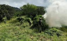 Quema Ejército 74 plantíos de amapola y 156 de marihuana en operativo en la Sierra Sur