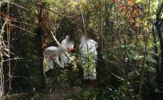 Tras cateo, caen dos por desaparición de personas en la Cuenca del Papaloapan