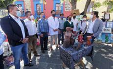 Ante Covid, artistas honran a profesionales de la Salud en Oaxaca; 3 mil 881 se han contagiado