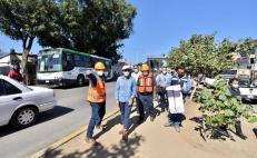Arrancan obras para estaciones especiales del CityBus Oaxaca, desviarán circulación en Periférico
