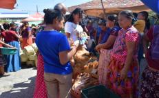 El mercado indígena que reúne a mujeres zapotecas e ikoots de Oaxaca el Día de la Candelaria