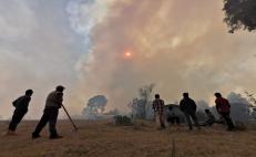 Incendio forestal en Santiago Clavellinas arrasa con 10 viviendas; hay 4 activos en Oaxaca