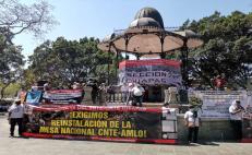 Marcha Sección 22 en Oaxaca en apoyo a Caravana del Sur de Chiapas; avanzan hacia la CDMX
