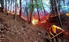 Arden bosques de Oaxaca: Combaten comuneros y brigadistas 6 incendios forestales activos 